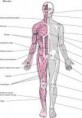 /album/fotogaleria-locomotor/descarga-jpg1/